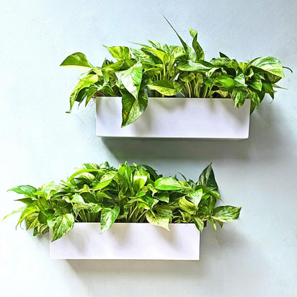 LaLaGreen Wall Planter (16 Inch, 2 Pack) Carbon Steel White Metal Hanging Flower Pot for Succulents, Wall Mount Rectangular Window Sill Box Fence Floating Garden Shelf for Deck Indoor Outdoor Decor