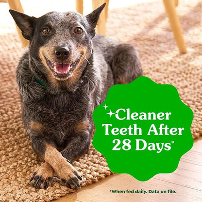 Greenies | Veterinarian-Recommended Natural Dental Dog Treats - Teenie Size, Original Flavor, 36 oz Pack