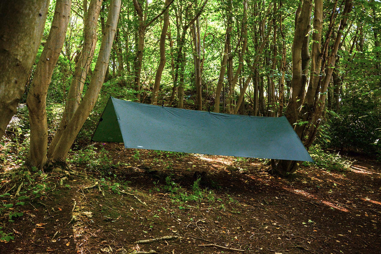 DD Hammocks - DD Superlight Tarp XL Olive Green: 15ft x 10ft