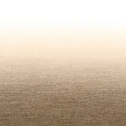 RecPro RV Awning Fabric Replacement | Width Options from 8 to 22 Feet | Variety of Color Options | 8' (96") Length RV Awning Replacement | Premium Vinyl (17' - Actual Width 16' 1", Tan/Camel Fade)