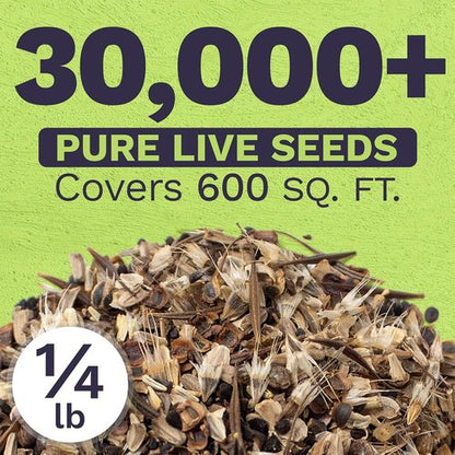 Cut Flower Garden Seeds - Non-GMO Wildflower Seeds in Bulk | 1/4 Pound Bag with 30,000+ Seeds