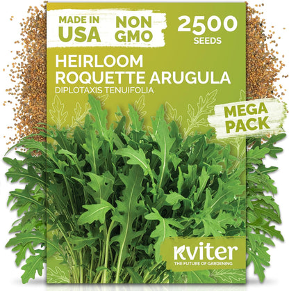 KVITER 2500 Roquette Arugula Seeds - Organic Non-GMO Perennial Herb Seeds for Indoor & Outdoor Gardens