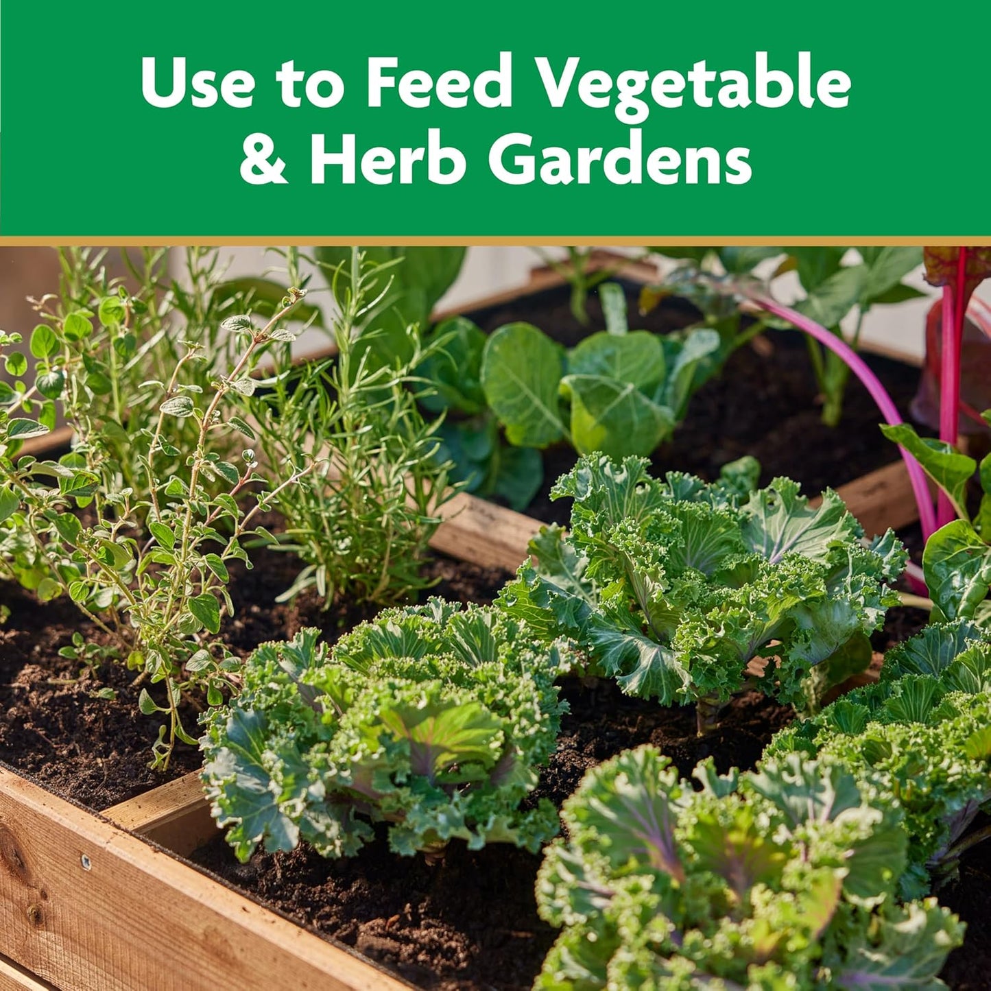 Miracle-Gro Water-Soluble Plant Food - Boost Vegetable & Herb Growth - 2 lbs for Abundant Harvest
