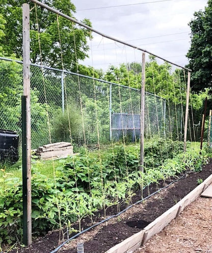 6300FT Tomato Tying Garden Twine - Durable, Heavy-Duty Twine for Support and Growth