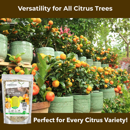 GARDENWISE Professional Citrus Fertilizer + Vital Micronutrients; Perfect Balanced NPK for All Citrus; for Indoor and Outdoor Plants; Orange, Lime, Avocado and Lemon Tree Fertilizer (1/2 Quart)