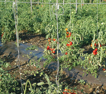 6300FT Tomato Tying Garden Twine - Durable, Heavy-Duty Twine for Support and Growth