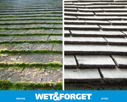 Wet & Forget Moss & Mold Remover - Powerful Multi-Surface Outdoor Cleaner, 128 Fl Oz