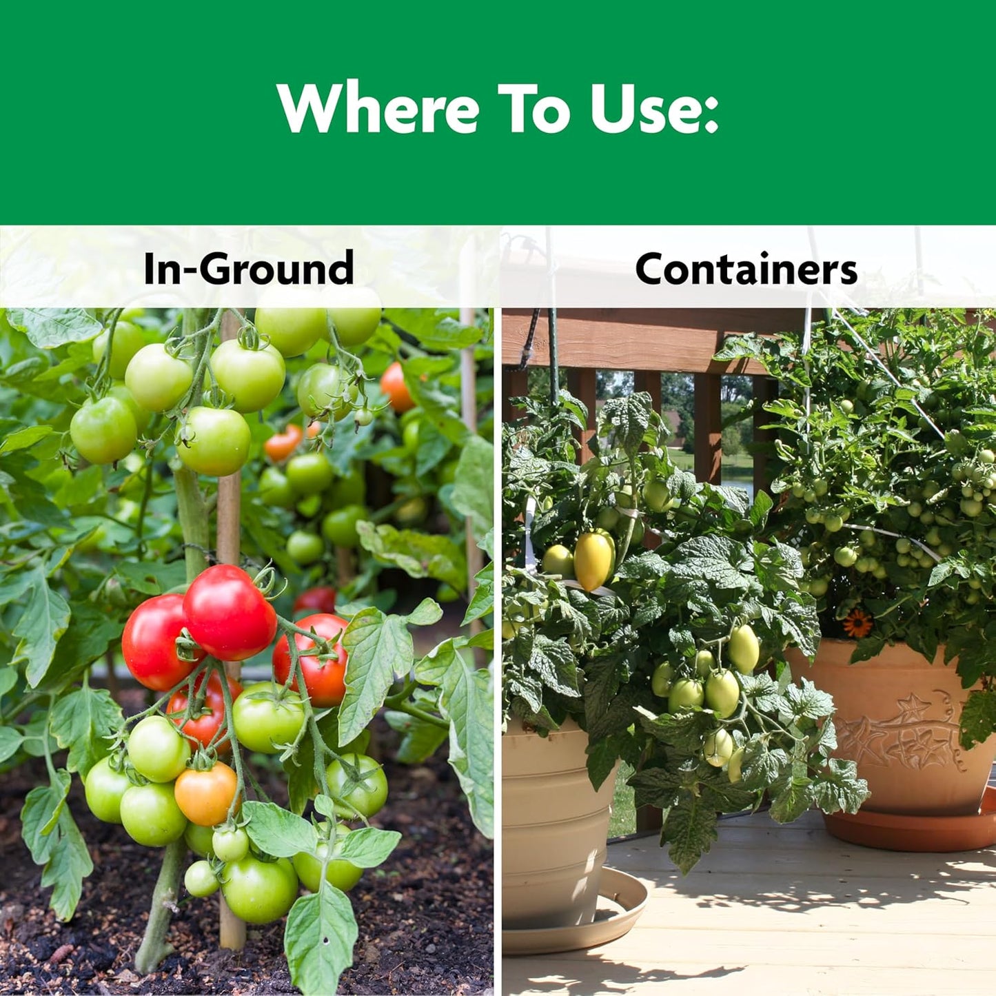 Miracle-Gro Shake 'N Feed Tomato & Vegetable Plant Food - 4.5 lb Fertilizer for In-Ground & Container Gardens