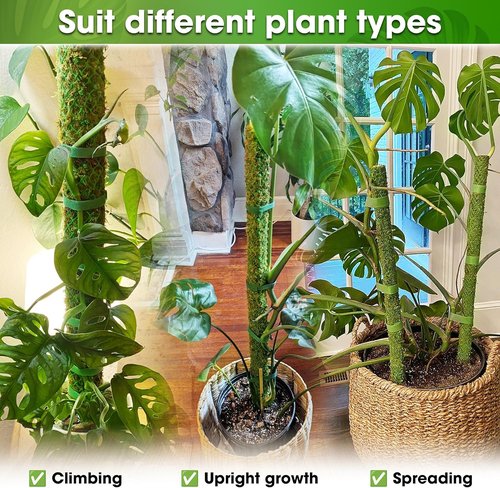 DUSPRO 42” Mesh Moss Pole - Natural Support for Climbing Plants | Ideal for Monstera & Indoor Use