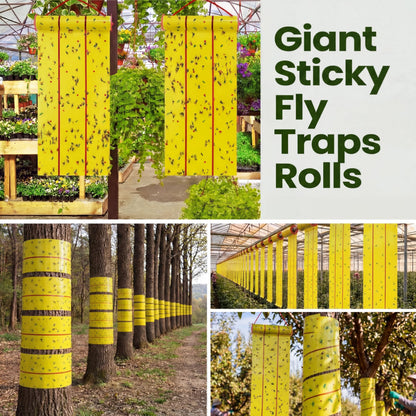 Qualirey Giant Sticky Fly Traps, Fly Strips for Indoor Outdoor Hanging Flying Tapes Non Toxic Ribbon Fruit Gnat Killer for Mosquito Plants House Horse Stable(442.95ft,Yellow,15 Pcs)