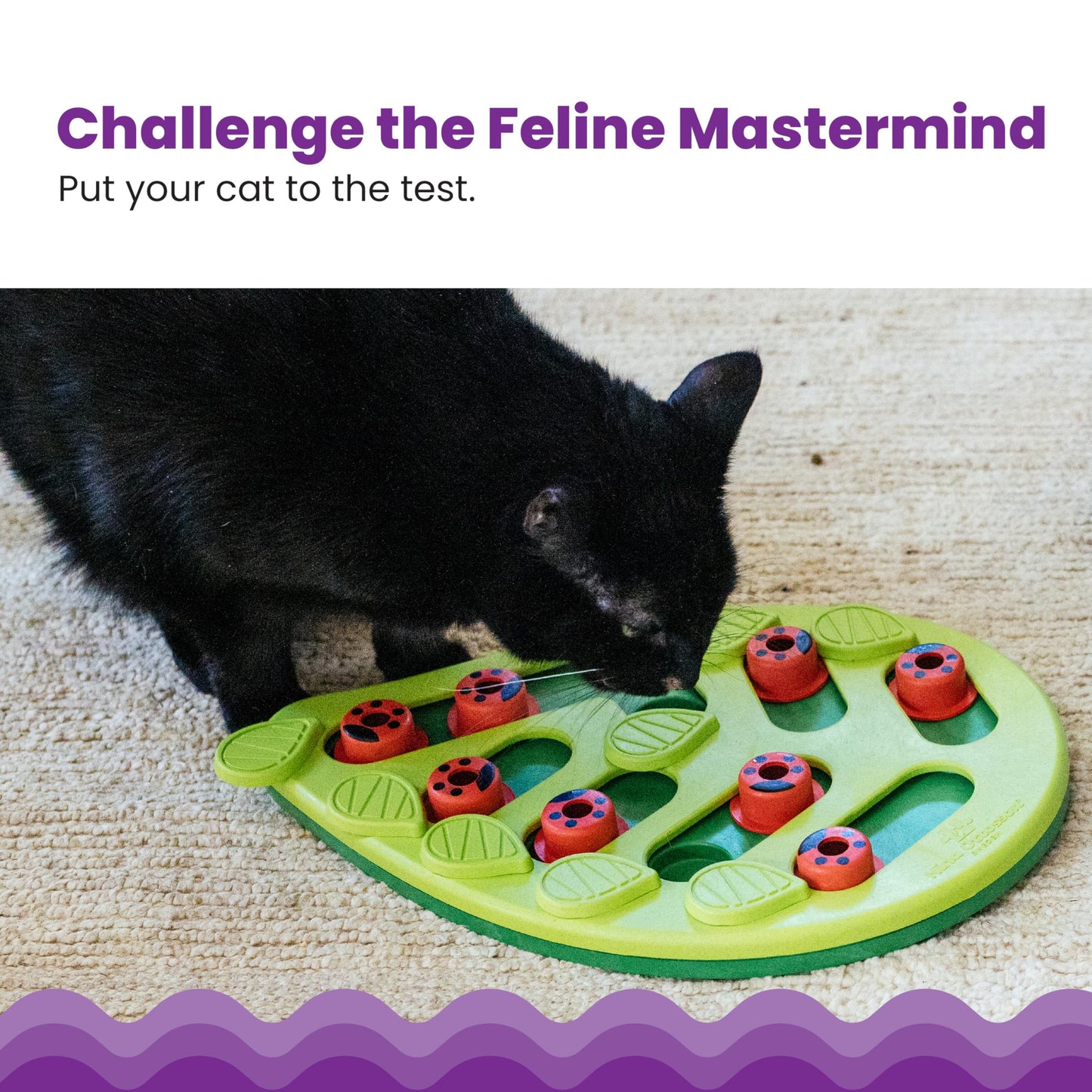 Catstages Buggin' Out Puzzle & Play, Interactive Treat Puzzle Cat Toy 13 in x 9.5 in, Green