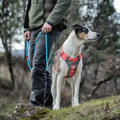 Kurgo Journey Air Dog Harness, Vest Harnesses for Dogs, Pet Hiking Harness for Running & Walking, Reflective, Padded, Includes Control Handle, No Pull Front Clip (Coral, Medium)