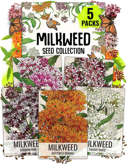 Seed Needs Milkweed Seeds - Attract Monarch Butterflies with Pink, Orange & White Variety Pack (5 Packs)