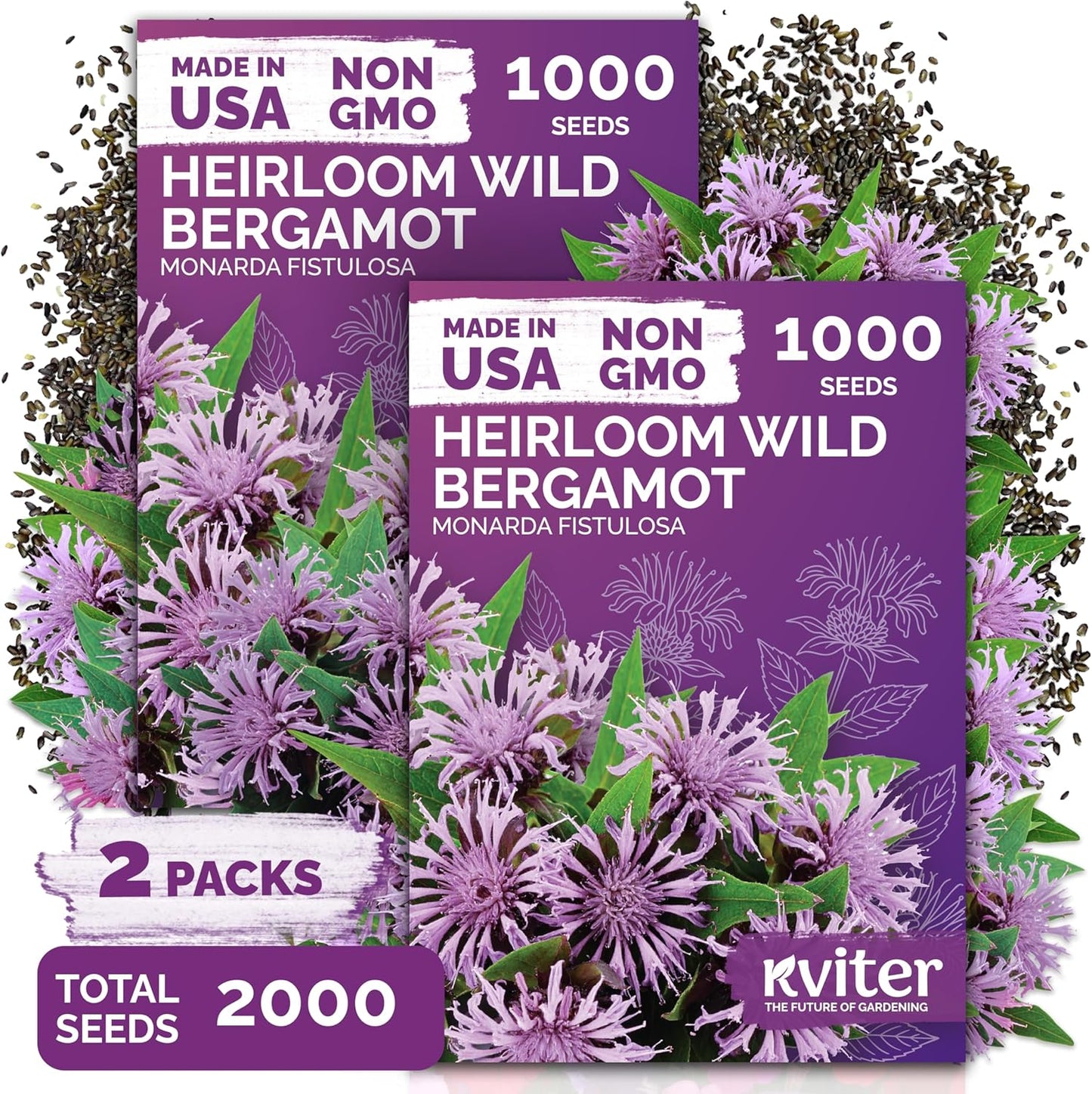 KVITER Wild Bergamot Seeds - 2,000 Organic Non-GMO Bee Balm Seeds for Pollinator Gardens | 2 Pack
