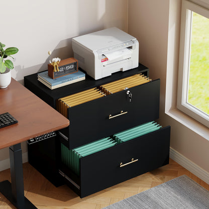 GFGWXW 2 Drawer Lateral File Cabinet with Lock, Suitable for Letter/A4/F4/Legal Size Hanging Files,Large Wood Filing Storage Cabinets Printer Stand for Home Office,Black