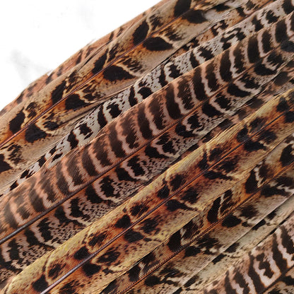 20pcs Female Pheasant Feather Natural Ringneck Tails Feathers 10-12inch 25-30cm for Crafts Home Wedding Party Performance DIY Decoration Pheasant Feather,Female Pheasant Feathers