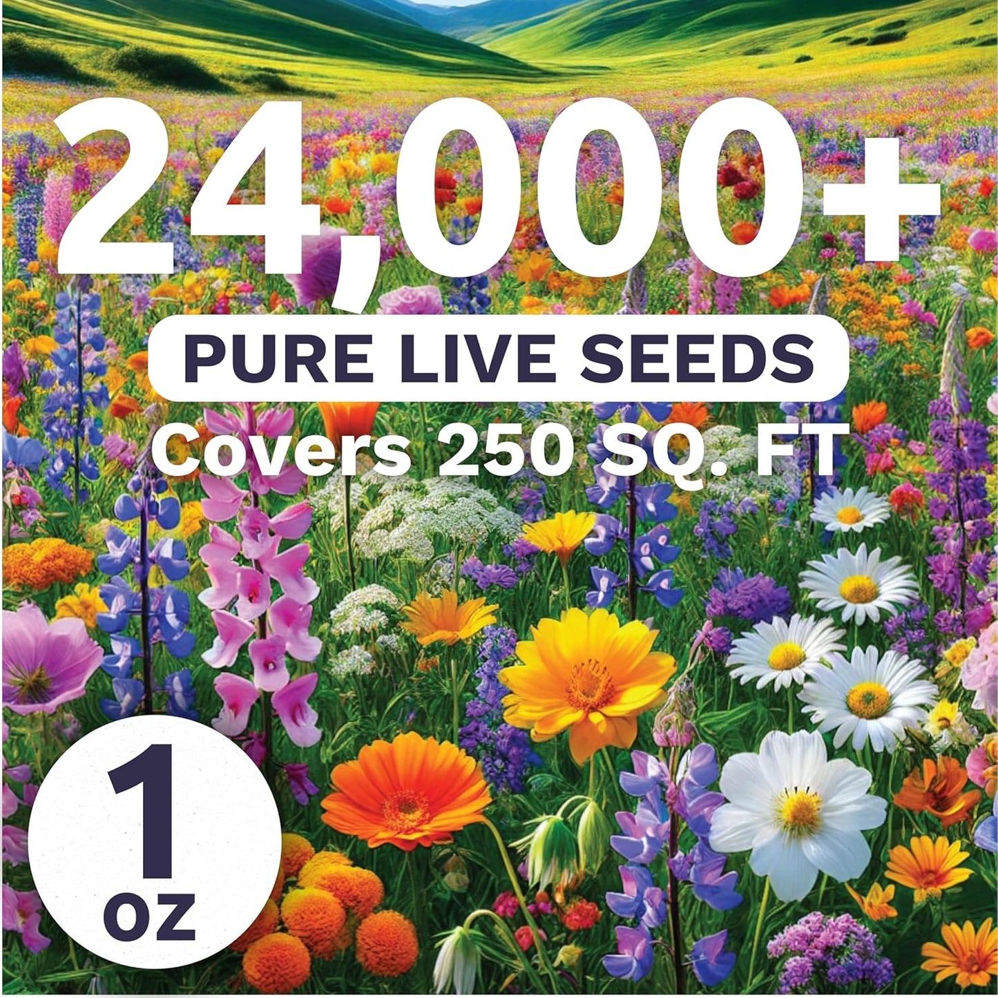 Pacific Northwest Wildflower Seed Mix - 24,000 Premium Flower Seeds in Large 1 Ounce Packet