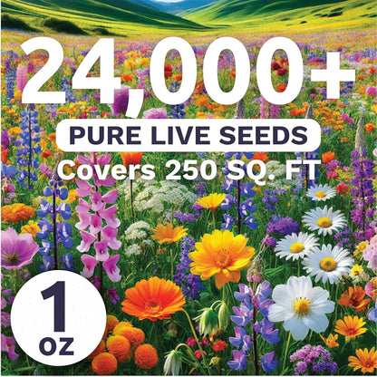 Pacific Northwest Wildflower Seed Mix - 24,000 Premium Flower Seeds in Large 1 Ounce Packet