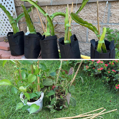 Bamboo Plant Stakes - 50 Pcs 2ft Garden Support Sticks for Indoor/Outdoor Plants | Ideal for Tomatoes & Climbing Plants