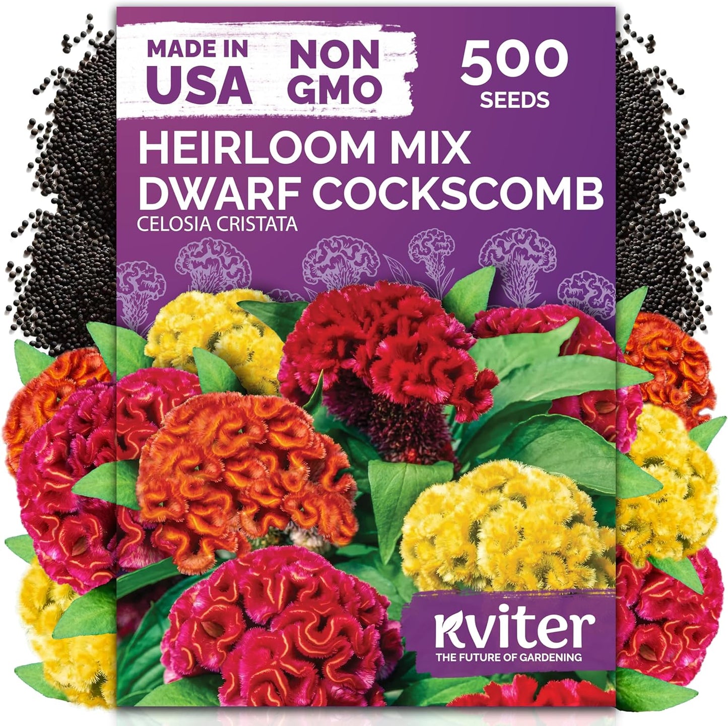 KVITER 500 Dwarf Mix Cockscomb Seeds - Heirloom Celosia Argentea for Vibrant Garden Blooms