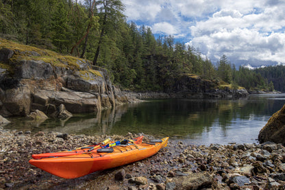 Wilderness Systems Tempest 165 | Sit Inside Touring Kayak | Adjustable Skeg - Phase 3 Air Pro Seating | 16' 6" | Mango