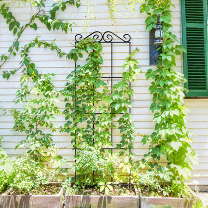 ARIFARO 37.5'' Metal Garden Trellis for Climbing Plants,(Pack of 4) Indoor/Outdoor Sturdy Plant Trellis for Potted Plants,House Plants, Climbing Vines, Black