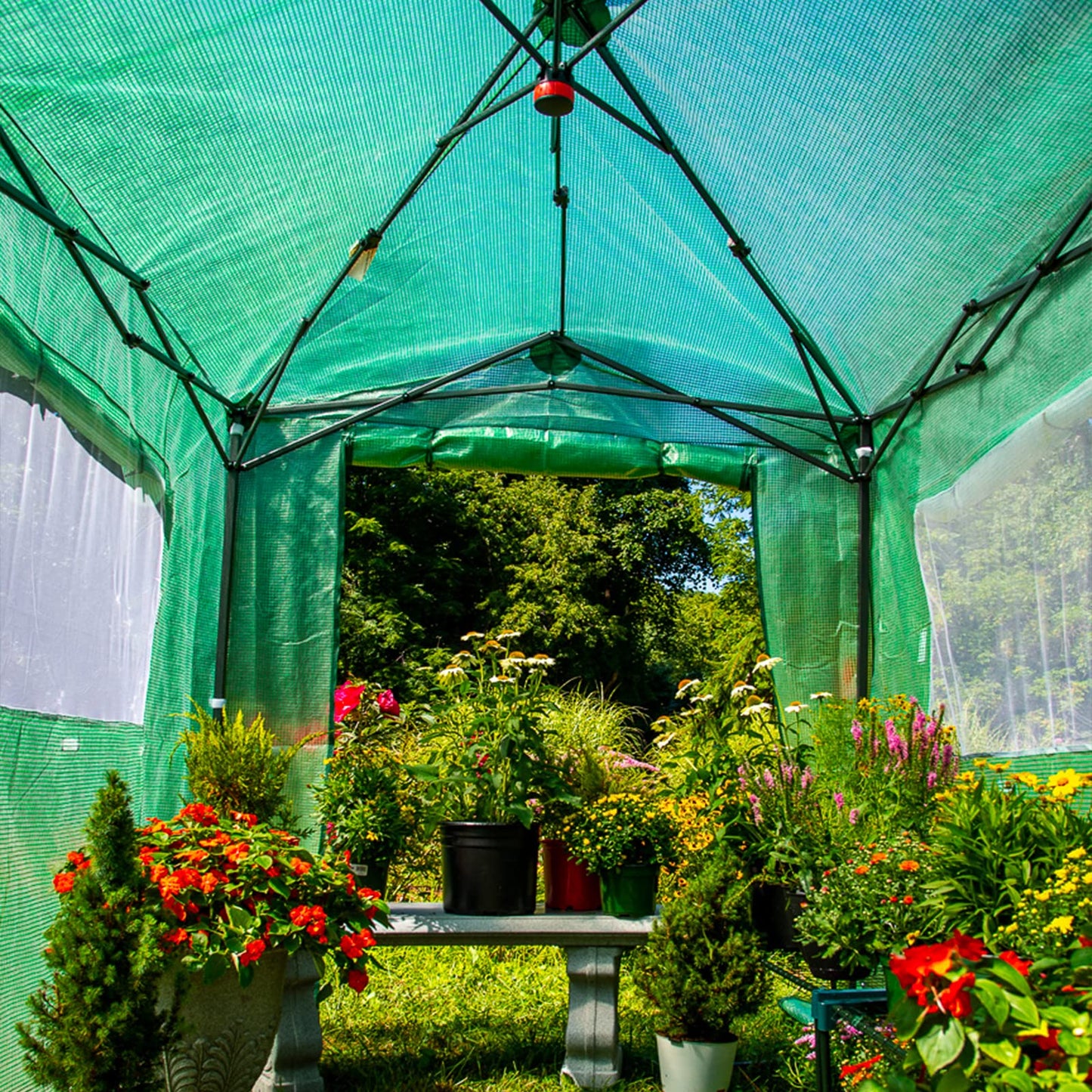 EAGLE PEAK 8'x6' Portable Greenhouse with Two Shelves