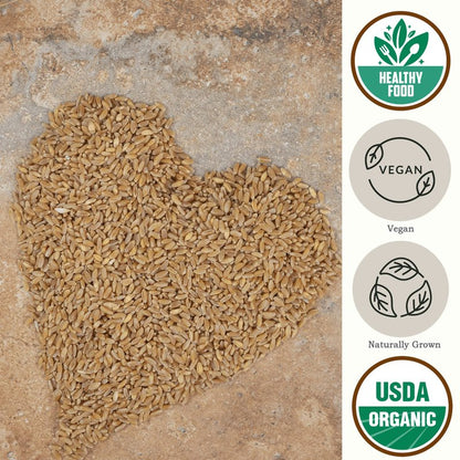 Be Still Farms Einkorn Farro Grain Organic (4.8 lb) - Einkorn Wheat Berries Bulk Whole Ancient Grains - Ideal for Soup, Flour, Bread - High in Fiber | USA Grown | USDA Certified | Vegan | Non-GMO
