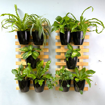 LaLaGreen Wall Planters for Indoor Plants - 10 Pack, 4 Inch Black Self Watering Pots Modern Indoor Hydroponic Vertical Live Garden Wall Mounted Hanging Plant Holder