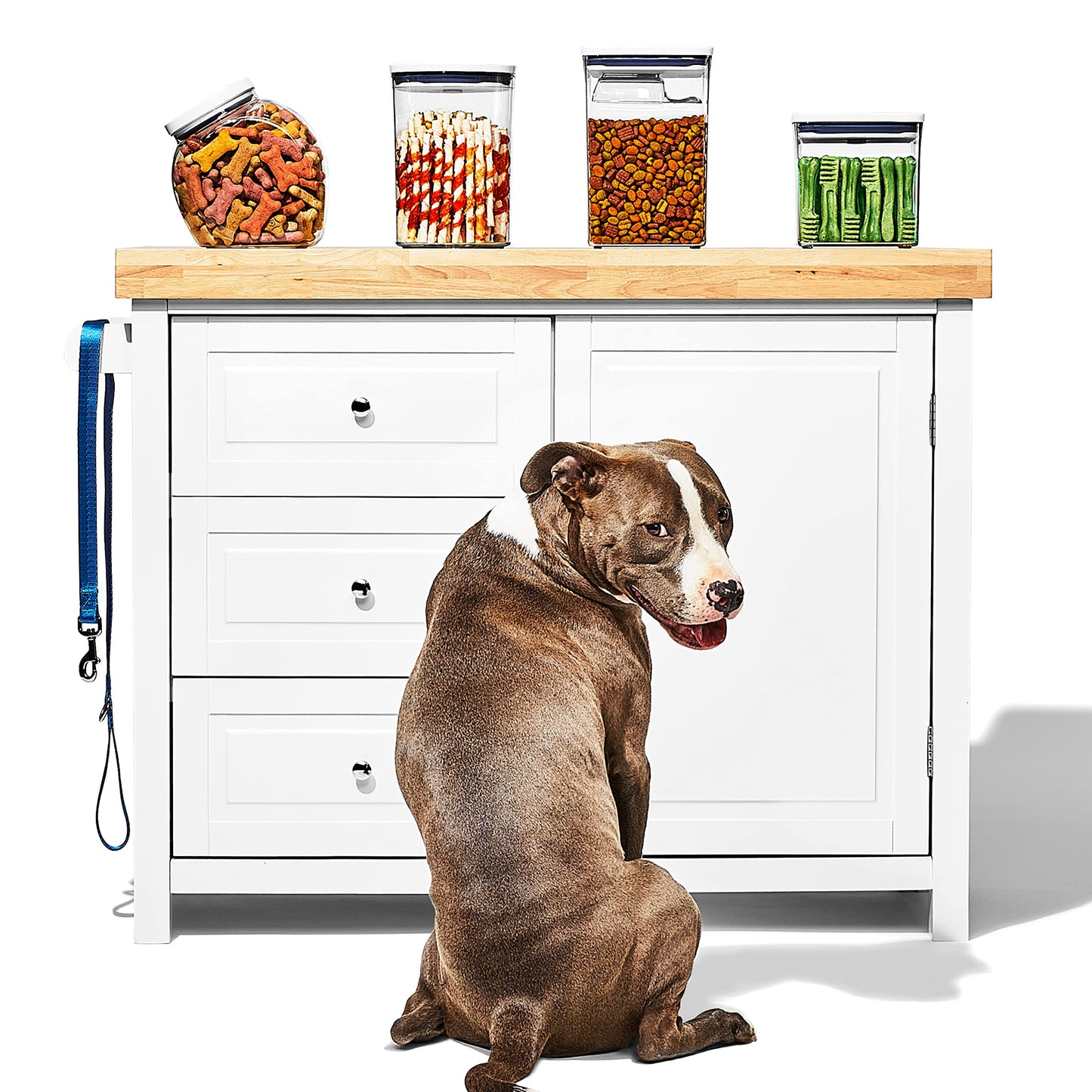 OXO Good Grips Pet POP Container – 2.8 Qt/2.6 L |Ideal for up to 3lbs of Dog Food or 2lbs of Cat Food | Airtight Storage Container | BPA Free (Pack of 8)