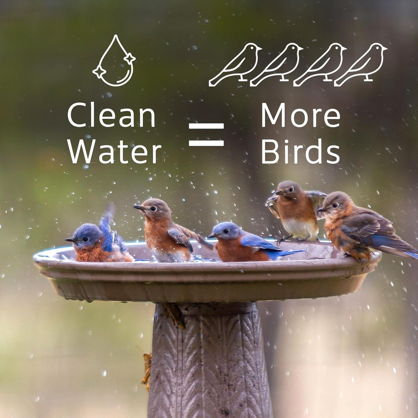 Microbe-Lift Bird Bath Cleaner - Two-in-One Natural Formula for Stain-Free Outdoor Fountains - 4 Oz