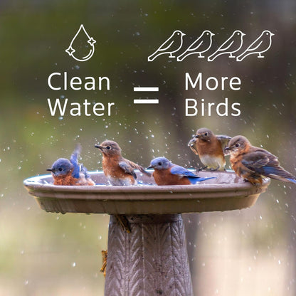 Microbe-Lift Bird Bath Cleaner - Two-in-One Natural Formula for Stain-Free Outdoor Fountains - 4 Oz