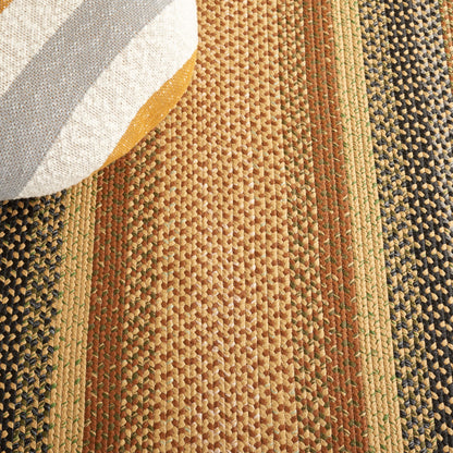 SAFAVIEH Washable Rug Outdoor Braided Collection - 9' x 12', Multi, Handmade & Reversible, Non-Shedding & Easy to Clean, Ideal for Patio, Backyard, Mudroom (BRD308A)
