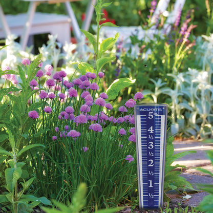AcuRite Notos (3-in-1) Weather Station with 5" Rain Gauge and Accessories