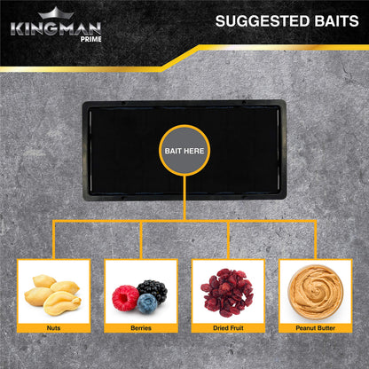 KINGMAN PRIME Rat Mouse Rodent Pest Glue Trap (Large Size) Tray Heavy Duty (96 Traps) with Connectors