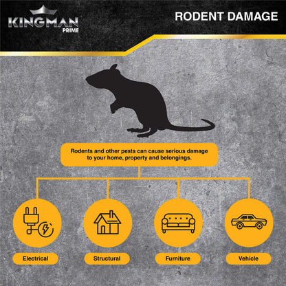 KINGMAN PRIME Rat Mouse Rodent Pest Glue Trap (Large Size) Tray Heavy Duty (96 Traps) with Connectors