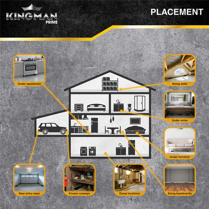 KINGMAN PRIME Rat Mouse Rodent Pest Glue Trap (Large Size) Tray Heavy Duty (96 Traps) with Connectors