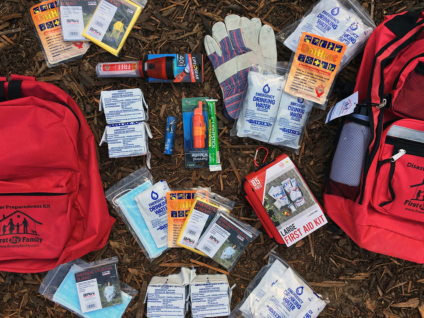 First My Family All-in-One Premium 2-Person Emergency Survival Kit | Hurricane & Earthquake Preparedness Supplies | Disaster Backpack with 72-Hour Survival Gear, First Aid, and More