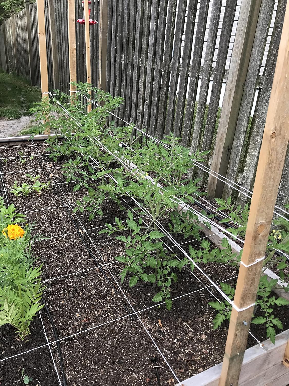 6300FT Tomato Tying Garden Twine - Durable, Heavy-Duty Twine for Support and Growth